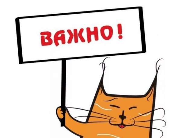 Внутризоновая связь Ростелеком Внутризоновая связь Ростелеком